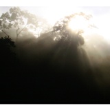 dailyPhoto4